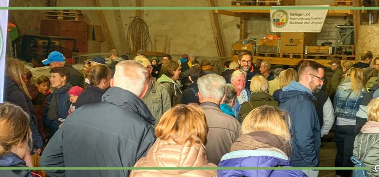 Herbstmarkt – es hätte so schön werden können Herbstmarkt – es hätte so schön werden können