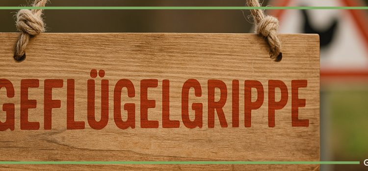 Vereinsschau 2025 – Absage aufgrund der aktuellen Geflügelgrippe-Lage Vereinsschau 2025 – Absage aufgrund der aktuellen Geflügelgrippe-Lage