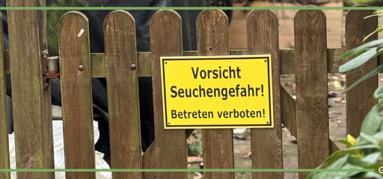 Mitgliederversammlung am 6. November 2025 Mitgliederversammlung am 6. November 2025